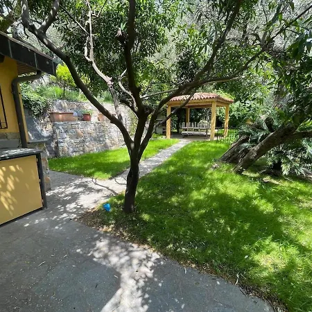 La Tra Ulivi E Colline Holiday home