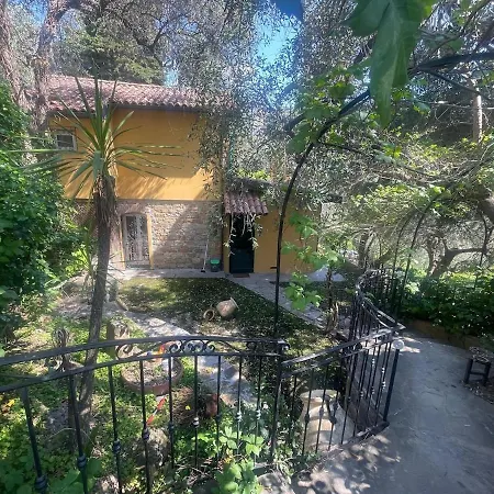 Holiday home La Tra Ulivi E Colline Civezza